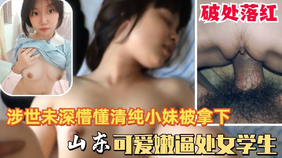 可爱懵懂清纯山东高中少女学生处女被拿下落红被猪拱的白菜高清海报