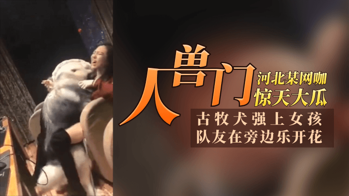 【12.11惊天大瓜】河北某网咖“人兽门”！古牧犬强上女孩，队友再旁边乐开花，青年人太会玩了！高清海报