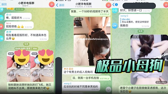 极品小母狗绿帽骚妻是小肥羊呀私拍高清海报