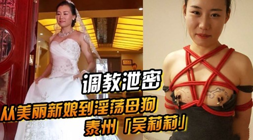 调教泄密从美丽新娘到淫荡母狗泰州吴莉莉高清海报