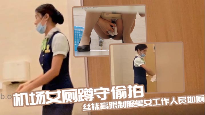 机场女厕蹲守偷拍丝袜高跟制服美女工作人员如厕高清海报