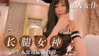 私人的美腿女仆的!高清海报