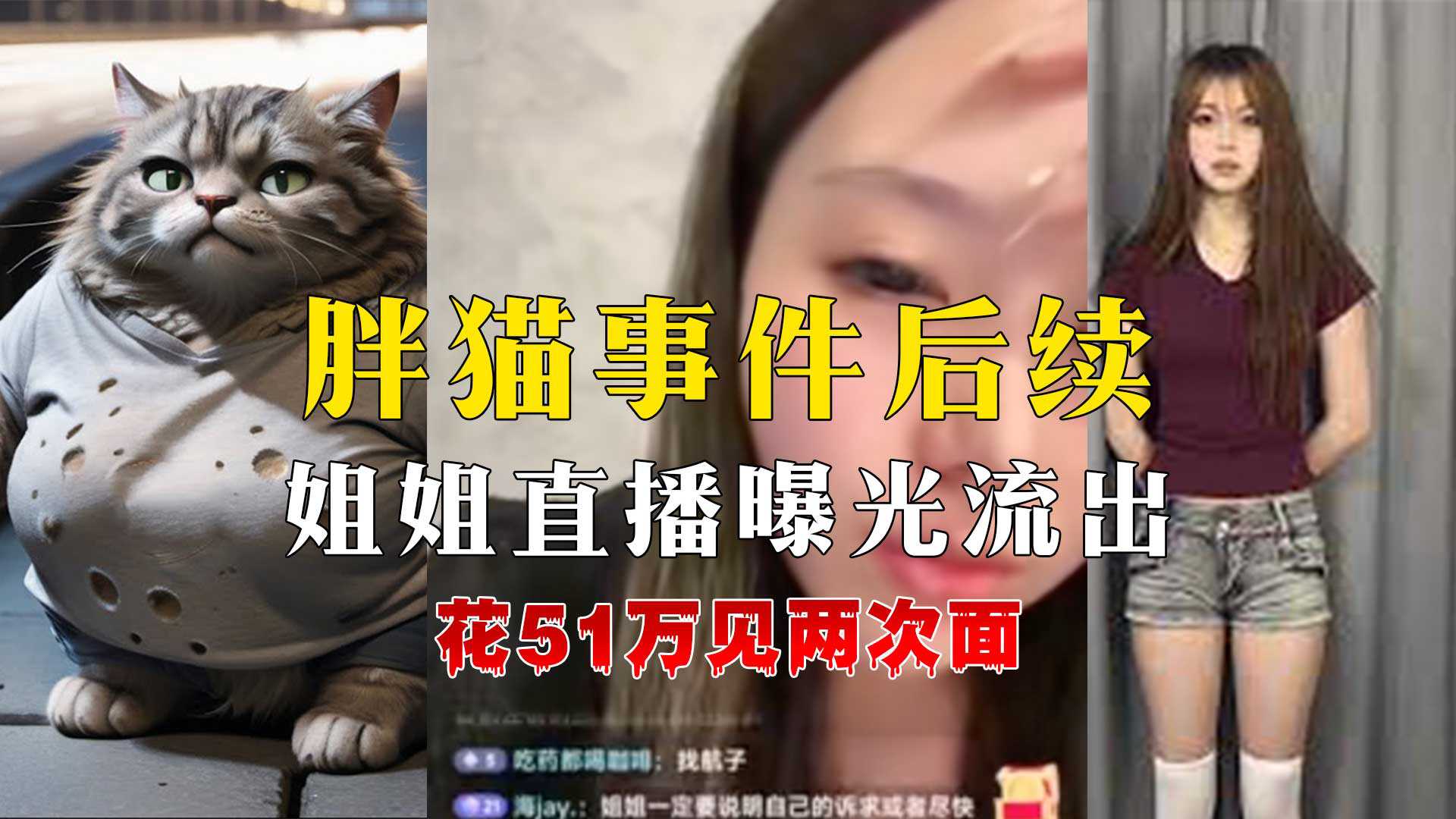 胖猫事件后续姐姐直播曝光答疑解惑声泪俱下高清海报