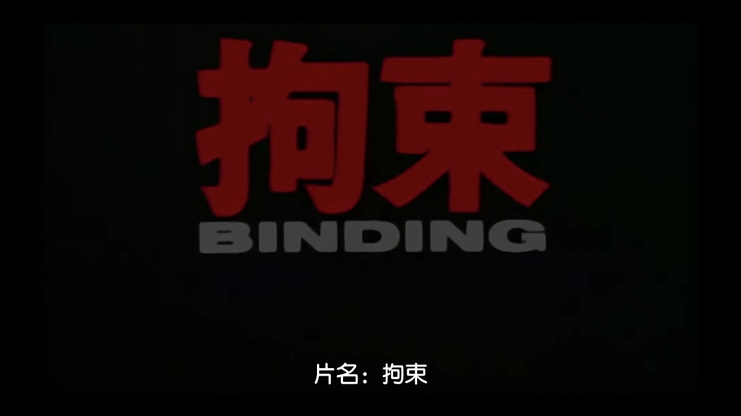 拘束BINDING中文字幕高清海报