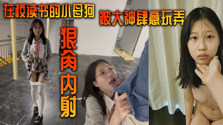 在校读书的小母狗被大神肆意玩弄狠肏内射高清海报