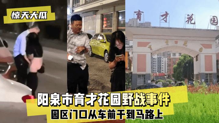 【惊天大瓜】阳泉市育才花园野战事件~园区门口从车前干到马路上~高清海报