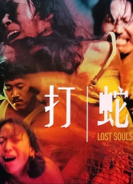 打蛇LostSouls1980BD1080PX264AAC国粤双语中字高清海报