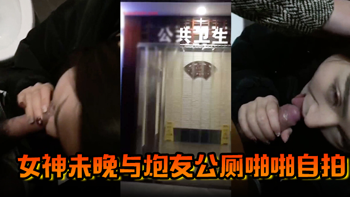 网红泄密霸道魔鬼身材的极品微博网红巨乳女神未晚与炮友公厕啪啪自拍高清海报